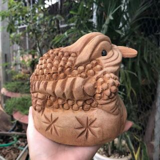 Cóc gỗ xá xị thơm phức 12*12cm