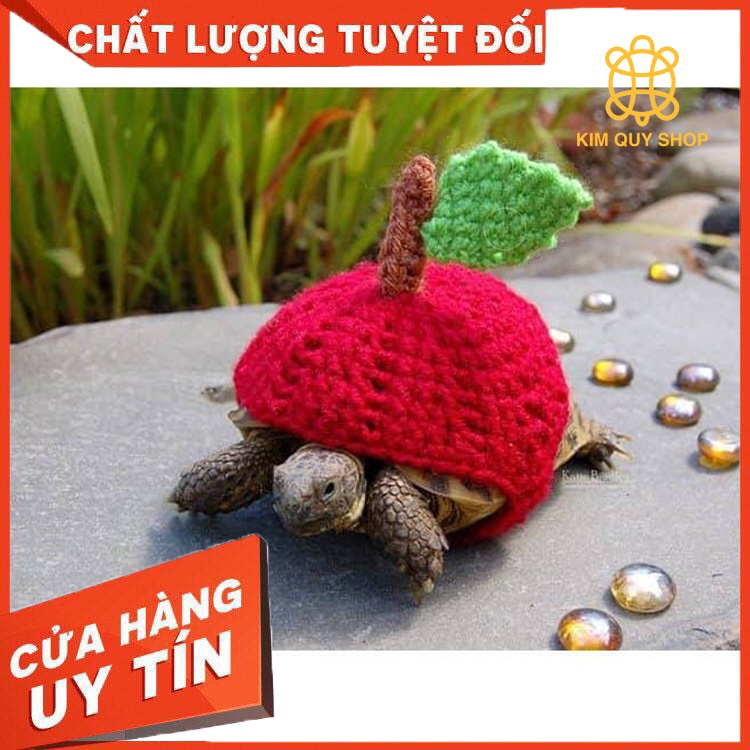 Áo len cho rùa cạn