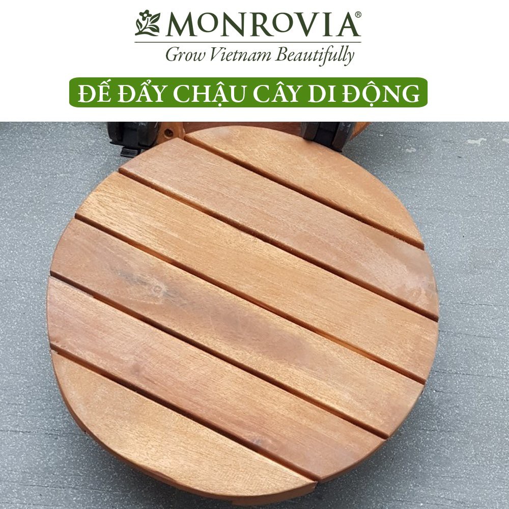 Đế lót chậu cây có bánh xe MONROVIA, đế để chậu cây, kệ giá đỡ chậu hoa cây cảnh, màu vàng R30 cm, tải 80kg, chính hãng