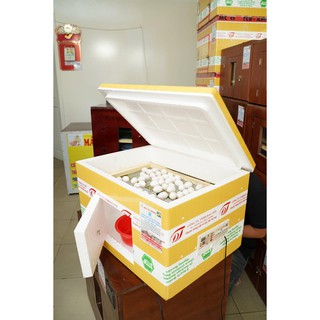MÁY ẤP TRỨNG ĐẢO TỰ ĐỘNG CHẤT LIỆU XỐP, LOẠI 80 TRỨNG