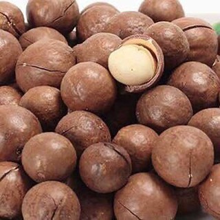 Hạt Macca Gia Lai