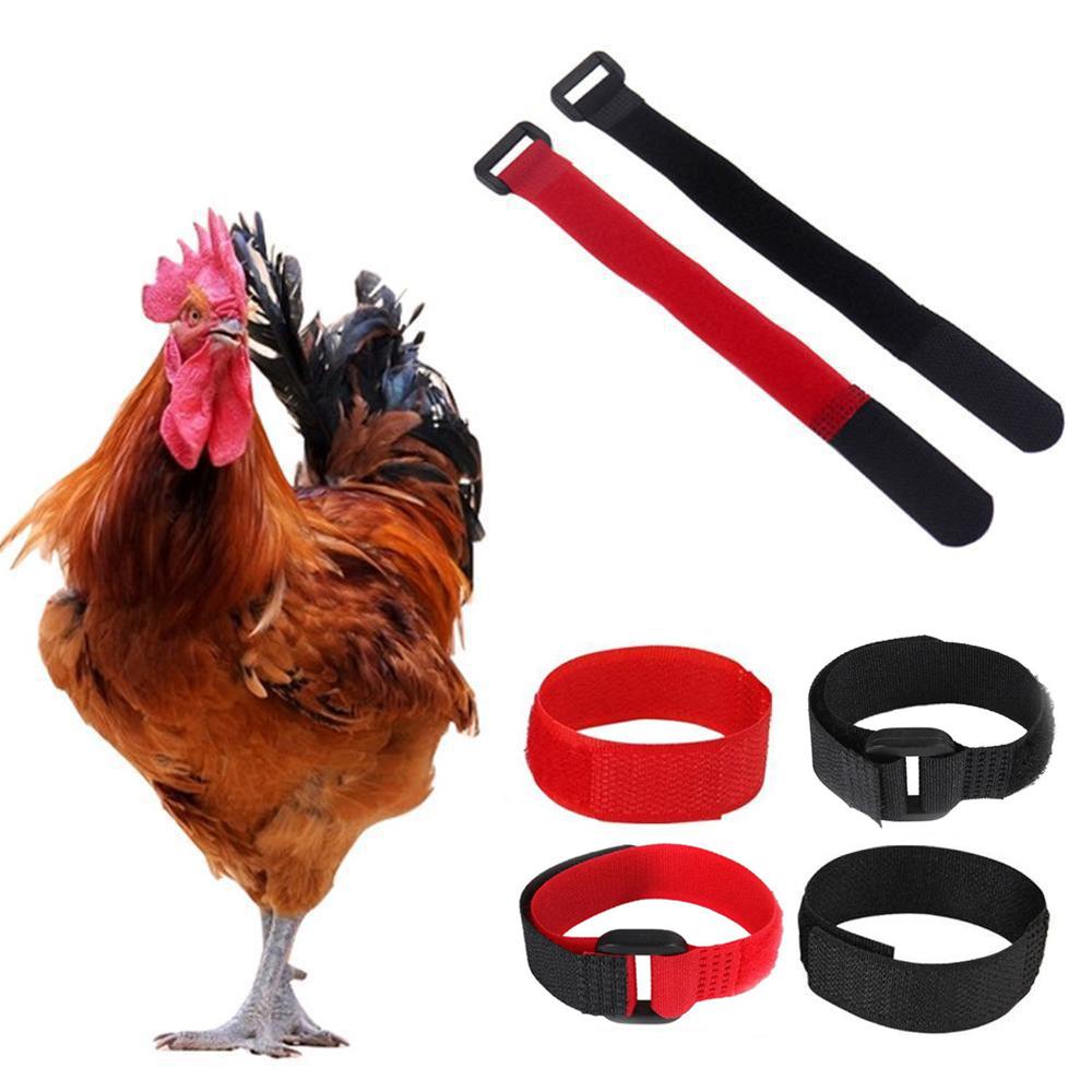 FOREVER Bộ 2 Móc Gà Chống Ồn Chất Lượng Cao Tiện Lợi Dễ Sử Dụng