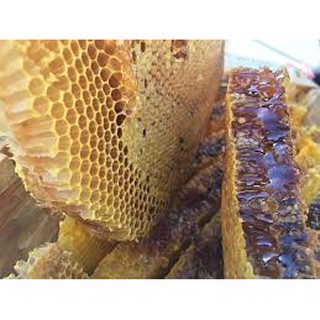Mật ong rừng Tây bắc - nguyên chất , tinh khiết , thơm ngon 1 lít