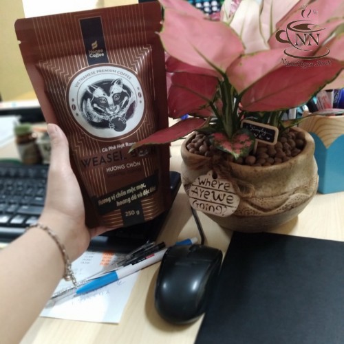 Cà Phê Chồn Hạt Rang Xay Hương Vị Độc Đáo HONEE COFFEE 250g - NGON NGON CÀ PHÊ | BigBuy360 - bigbuy360.vn
