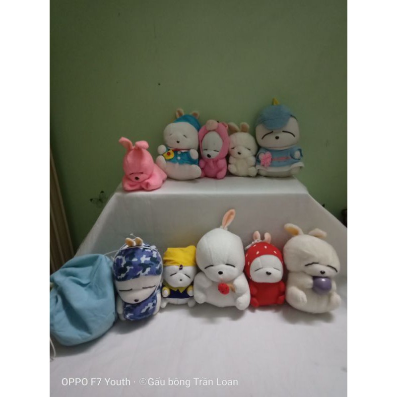 Gấu bông mắt hí