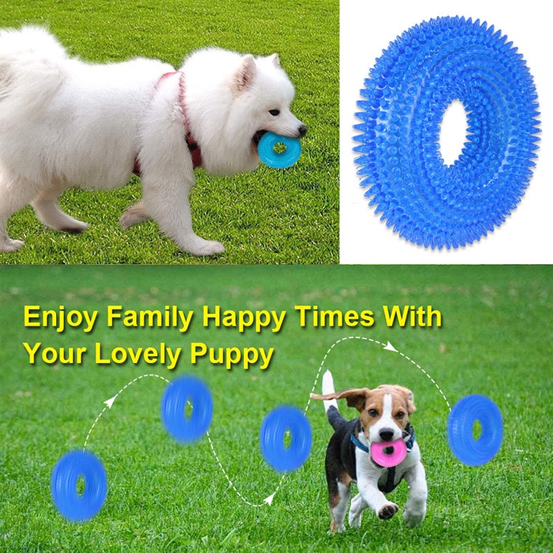 Pet Mài Răng Tương Tác Chống Cắn Đồ Chơi Thời Trang Vòng Mềm TPR Đồ Chơi