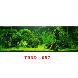 Tranh 3D Bể Cá Cảnh Mẫu Thủy Sinh - Tranh Bể Cá Sẵn Keo Dán - Tặng Kèm Bộ Dụng Cụ Dán