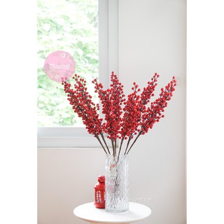 Quả điểm Muunmi 🍒 | Cành Đào Đông quả mọng đỏ trang trí rất đẹp