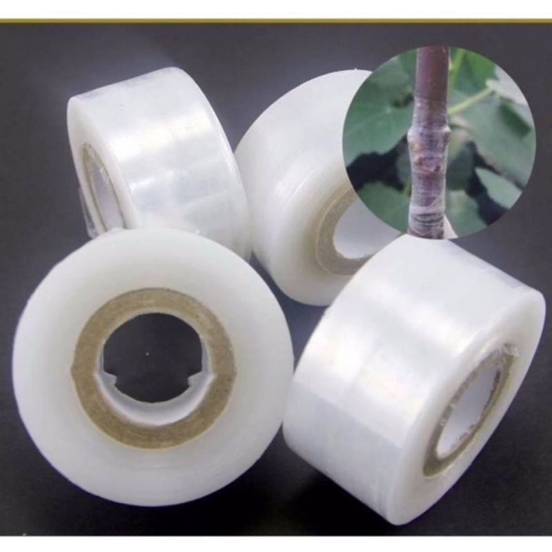 Màng pe 5cm / màng quấn ghép cây tự dính màng ghép cây tự hủy giá rẻ