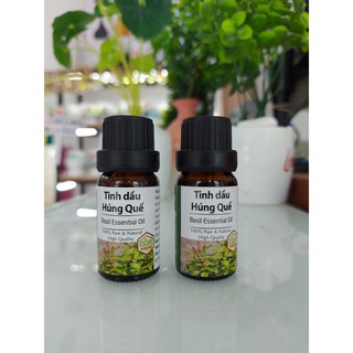 Tinh dầu Húng Quế tự nhiên nguyên chất Basil Essential Oil 10ml 30ml 50ml 100ml | Tinh dầu thiên nhiên