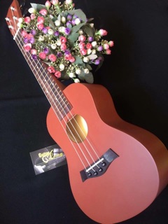 Đàn ukulele concert