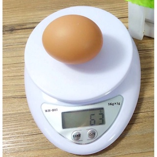 Cân điện tử nhà bếp loại max 5kg (có sẵn pin)
