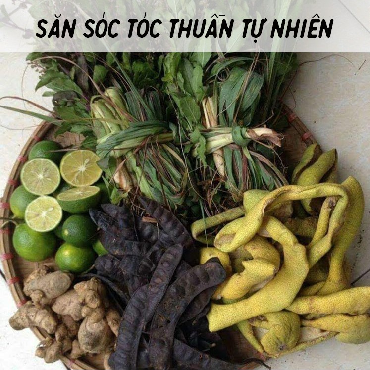 Combo dầu gội bồ kết và dầu xả lành thiên nhiên giúp tóc mềm mượt chắc khoẻ QUÊ MỘT CỤC sạch gàu nấm ngứa 500ml và 250ml