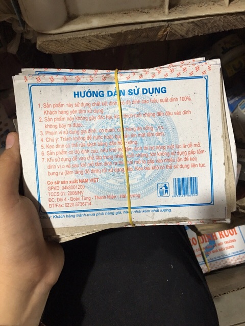 Bẫy dính ruồi siêu dính 10 cái