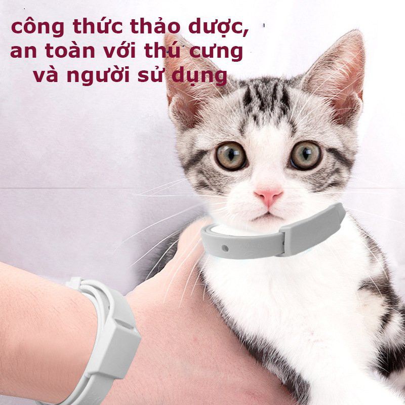 Vòng Cổ Chống RẬN VE BỌ CHÉT chó mèo thú cưng - Vòng cổ phòng diệt ký sinh trùng trên da chó mèo