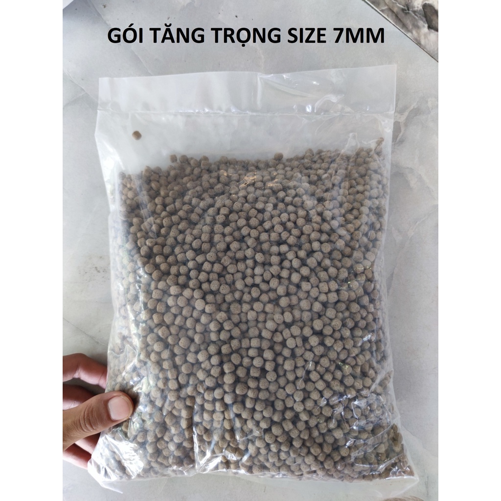 Cám Cá Koi King Feed Hàng Chất Lượng Cao, Tăng Trưởng Tốt