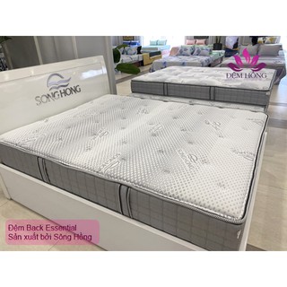 Đệm Sông Hồng - Back Essential dòng cao cấp