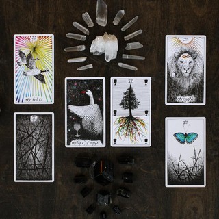 Wild Unknown Tarot Keepsake Box Set