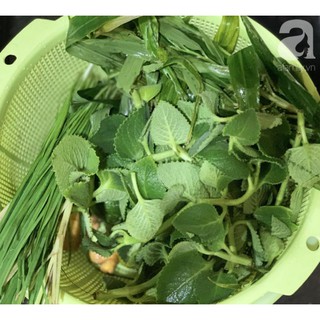 Mua 1kg lá húng chanh HCM (dặn trước 1 ngày)
