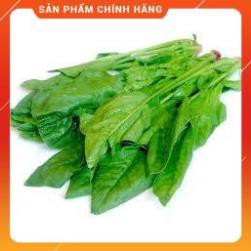 HẠT GIỐNG CẢI BÓ XÔI CHỊU NHIỆT GÓI 20 GRAM