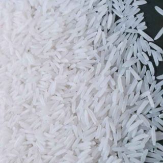 Gạo Nhật VJ Pearl Rice