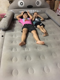 giường hơi hình thú