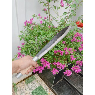 Dao Chặt Nhọn Cỡ To