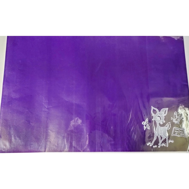 Bìa bao tập/vở giấy màu có lồng giấy kiếng  size 21cm