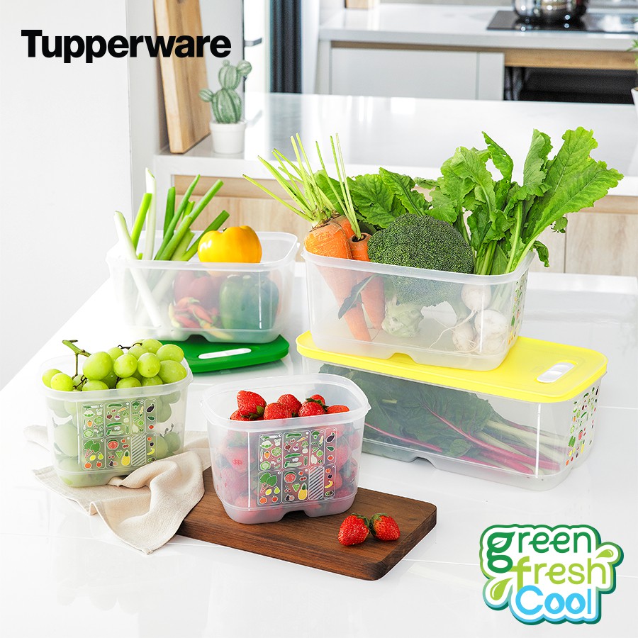 Tupperware Bộ hộp trữ mát vensmart 4 hộp - 5 hộp - 7 hộp