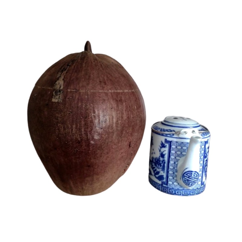 Vỏ Bình Trà Trái Dừa Không Sơn Màu Nguyên Thủy Của Trái Dừa Và Bình Trà 900 - 1000ml