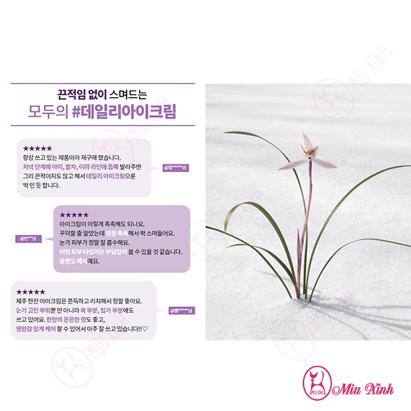 KEM DƯỠNG MẮT [INNISFREE] Jeju Orchid Eye Cream 30ml