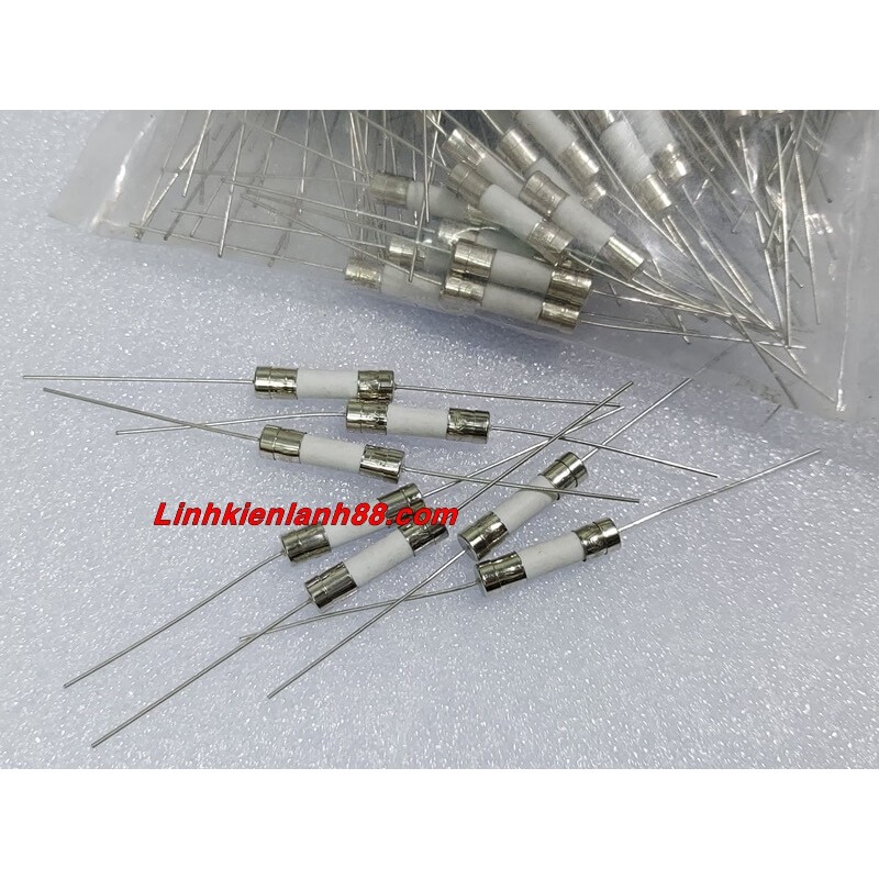 ( 10 cái ) Cầu Chì Sứ Chân Cắm 15A 5*20mm Mới