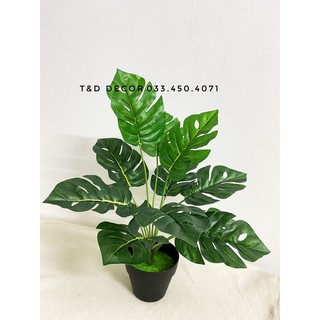 Cây giả - cây lá rùa decor 30cm