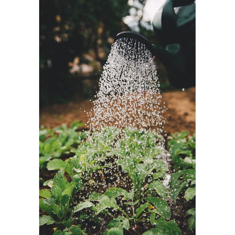 Phân đạm đậu nành  humic