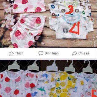 Xả combo 5bo cotton giấy