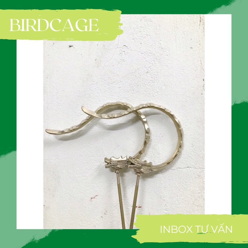 MÓC ĐẦU RỒNG