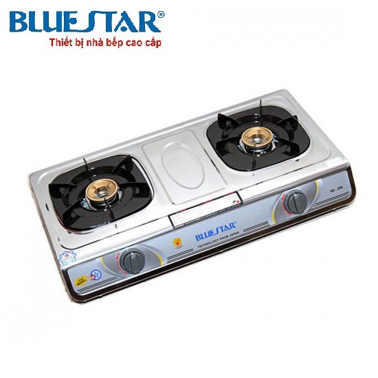 Bếp gas đôi Bluestar NS-290F/S