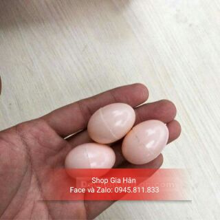 Khủng long cao cổ đẻ trứng