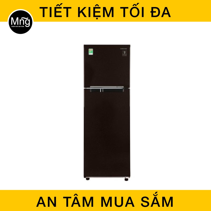 Tủ lạnh Samsung 256 lít 2 cửa Inverter RT25M4032BY/SV