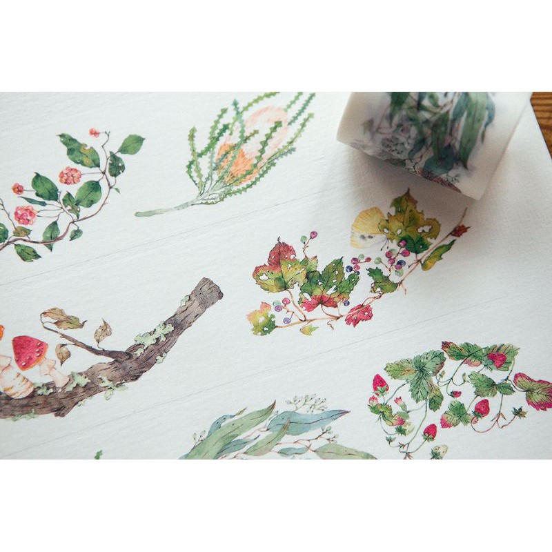 Krisna.room ♡ Set chiết washi brand OURS-  Wild Wreath 2