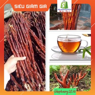 [Thượng Hạng] Nấm linh chi sừng hươu 1KG - Nâm sừng hưu Tây bắc