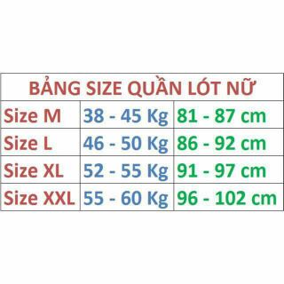 SET 10 QUẦN COTTON PHỐI REN