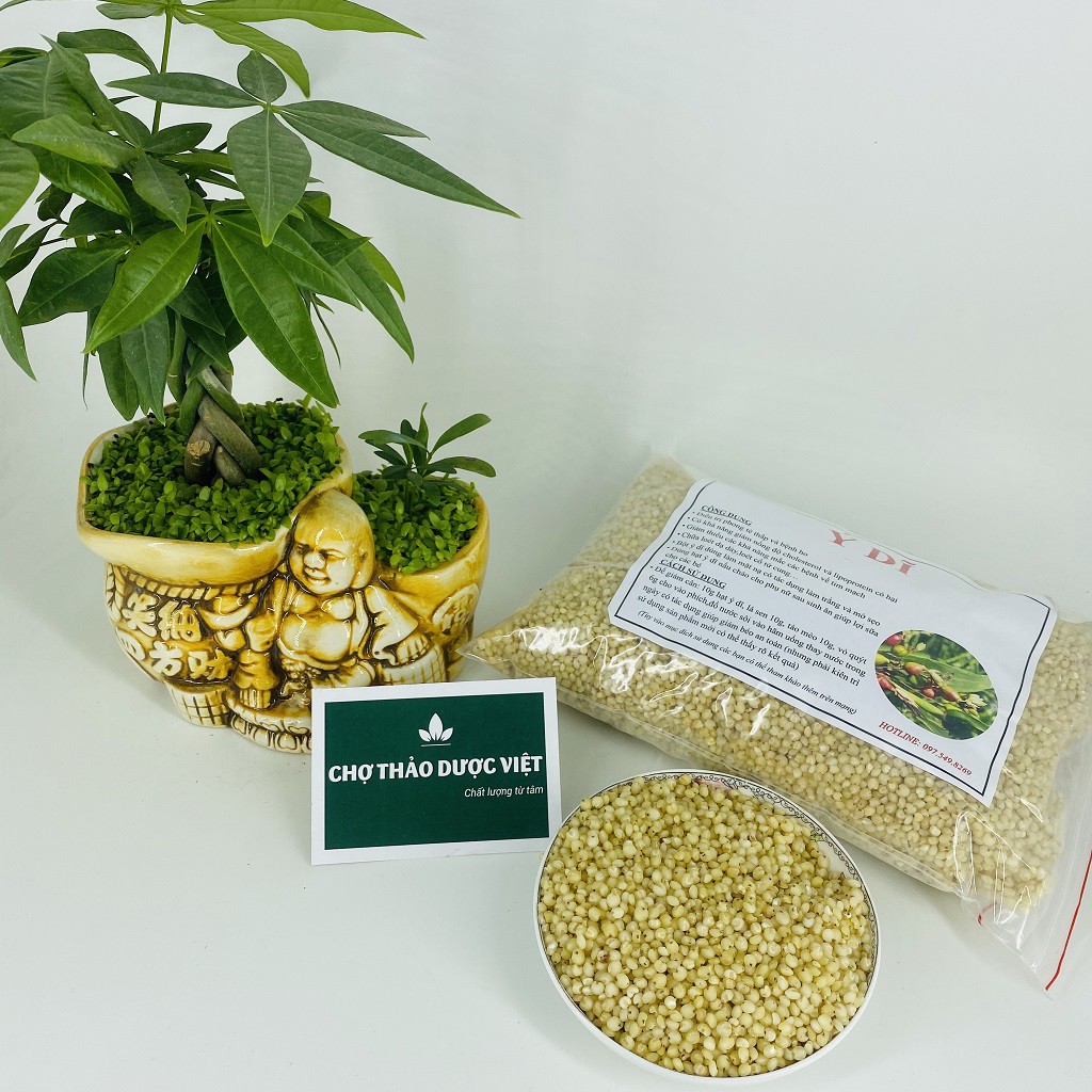 [Giá Sỉ] 1kg Y Dĩ (Khô, Sạch, Trắng)