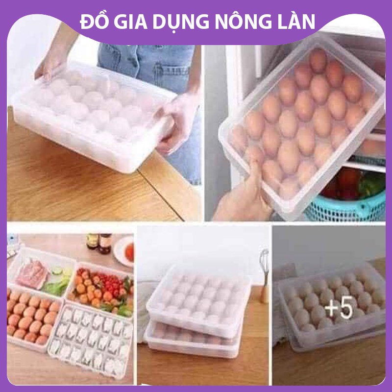 Hộp đựng trứng gà 24 quả NL Shop  hộp nhựa đựng thự phẩm