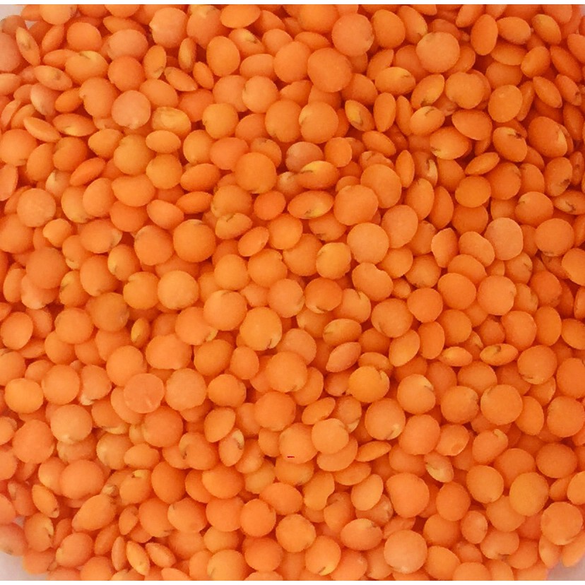 Đậu lăng đỏ tách vỏ Lentil peas Canada 500g [MUA 10 TẶNG 1]