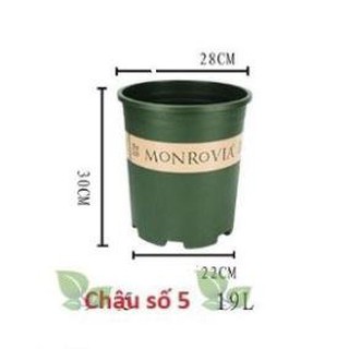 Chậu Monrovia Size 5 28x31cm chuyên dùng trồng Hoa Hồng và các loại hoa kiểng