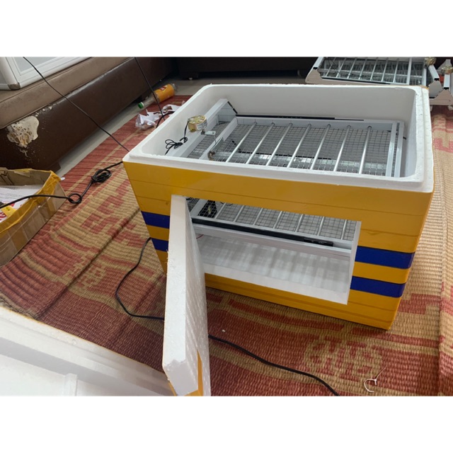 MÁY ẤP TRỨNG ÁNH DƯƠNG P100