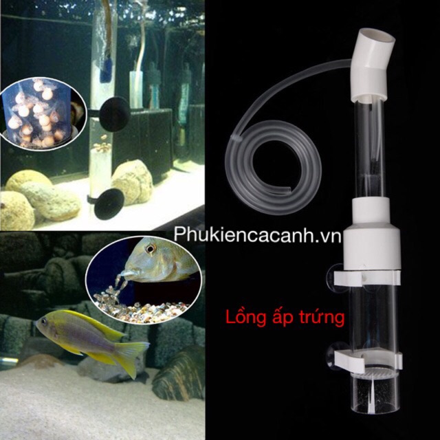 [FREESHIP 99K TOÀN QUỐC] Lồng ấp cá ali