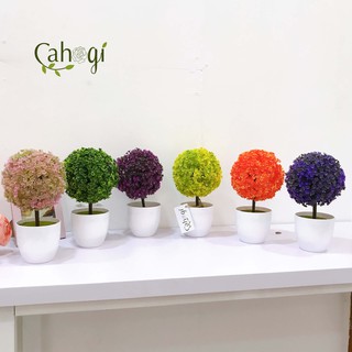 Chậu Cây Giả - Cây Cẩm Tú Cầu Để Bàn 26cm