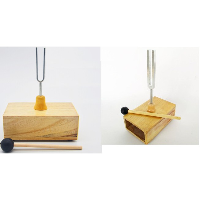 Âm thoa và hộp cộng hưởng tạo sóng âm cao tần dài 30cm